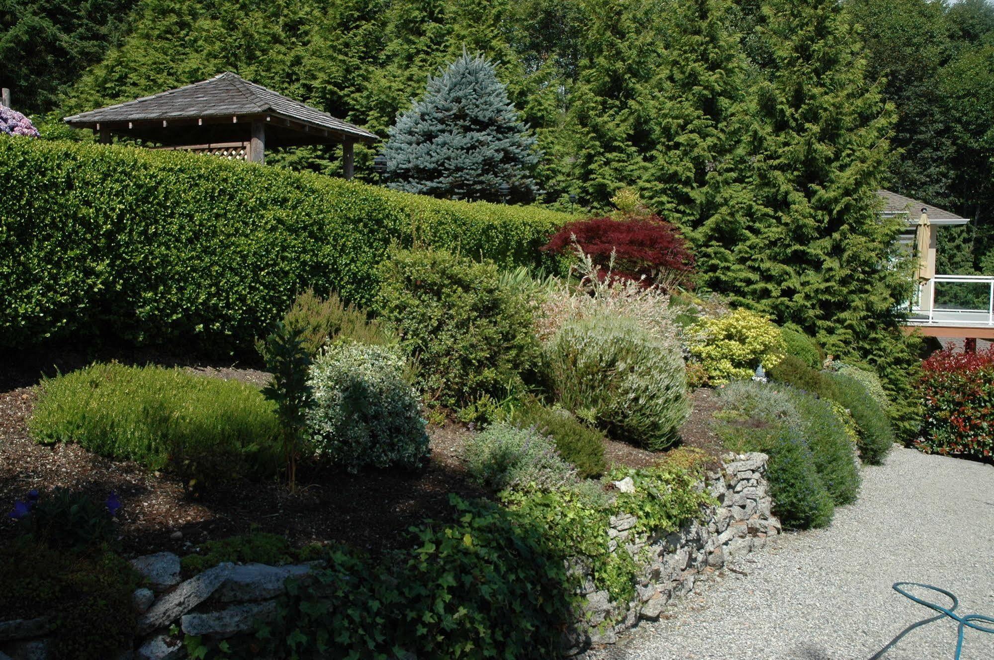At The Shore Bed And Breakfast Sechelt Eksteriør bilde